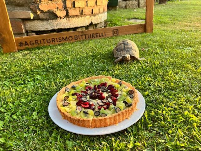 Agriturismo Bitturelli Ponti sul Mincio Εξωτερικό φωτογραφία